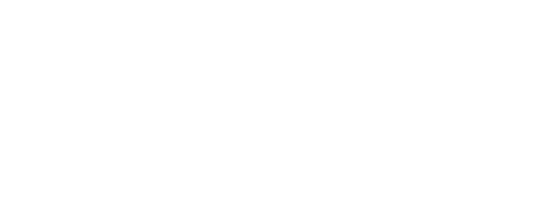StrideOne Logo